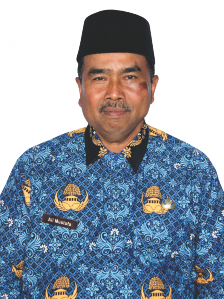 ALI MUSTOFA