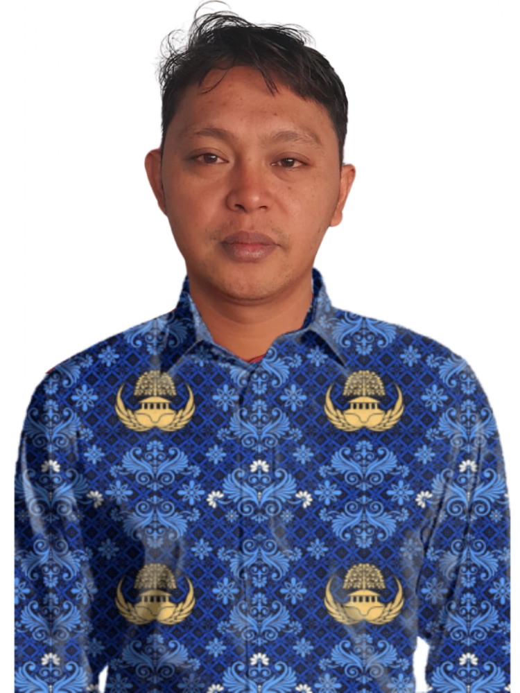 ERWIN NOVANTO