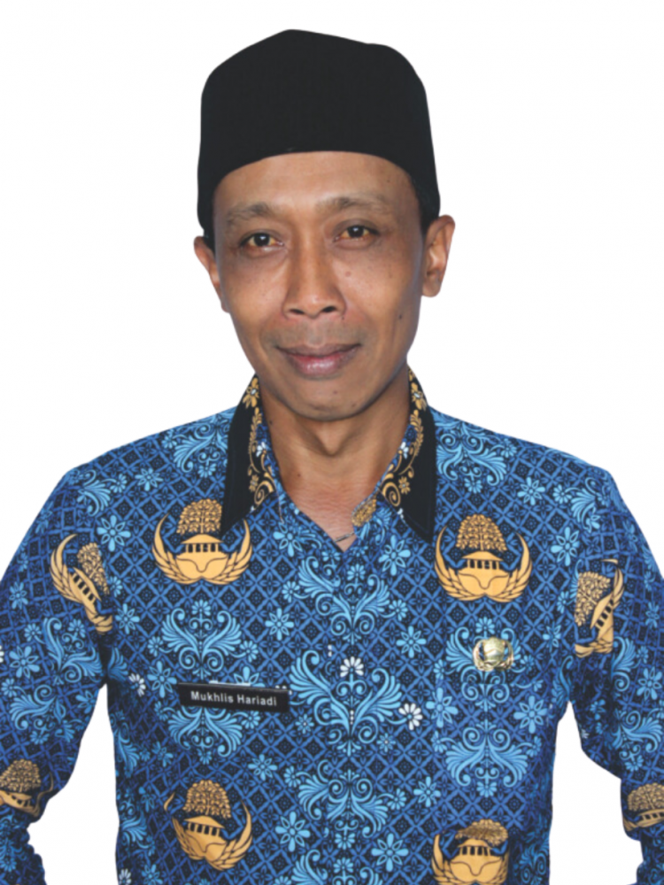 MUKHLIS HARIADI